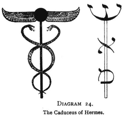 The Caduceus of Hermes